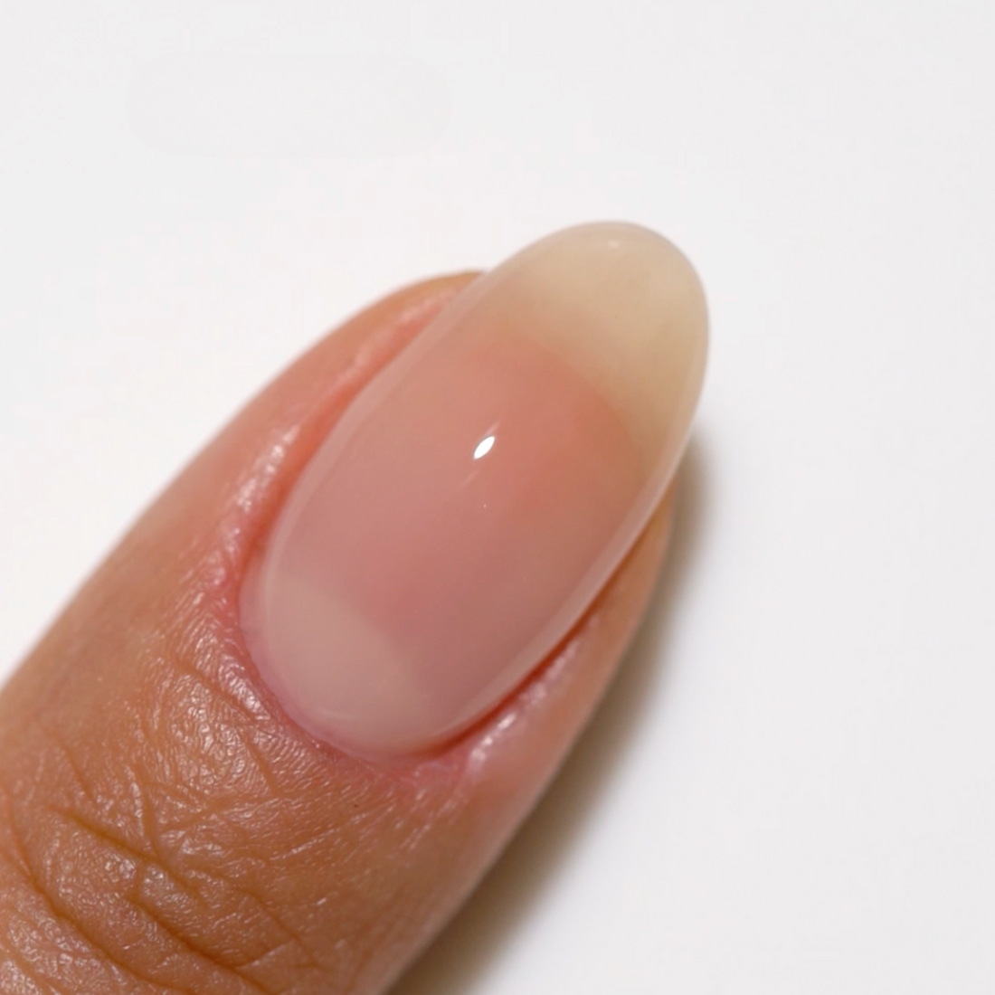 Duo Gel - DC2445 Be My Muse