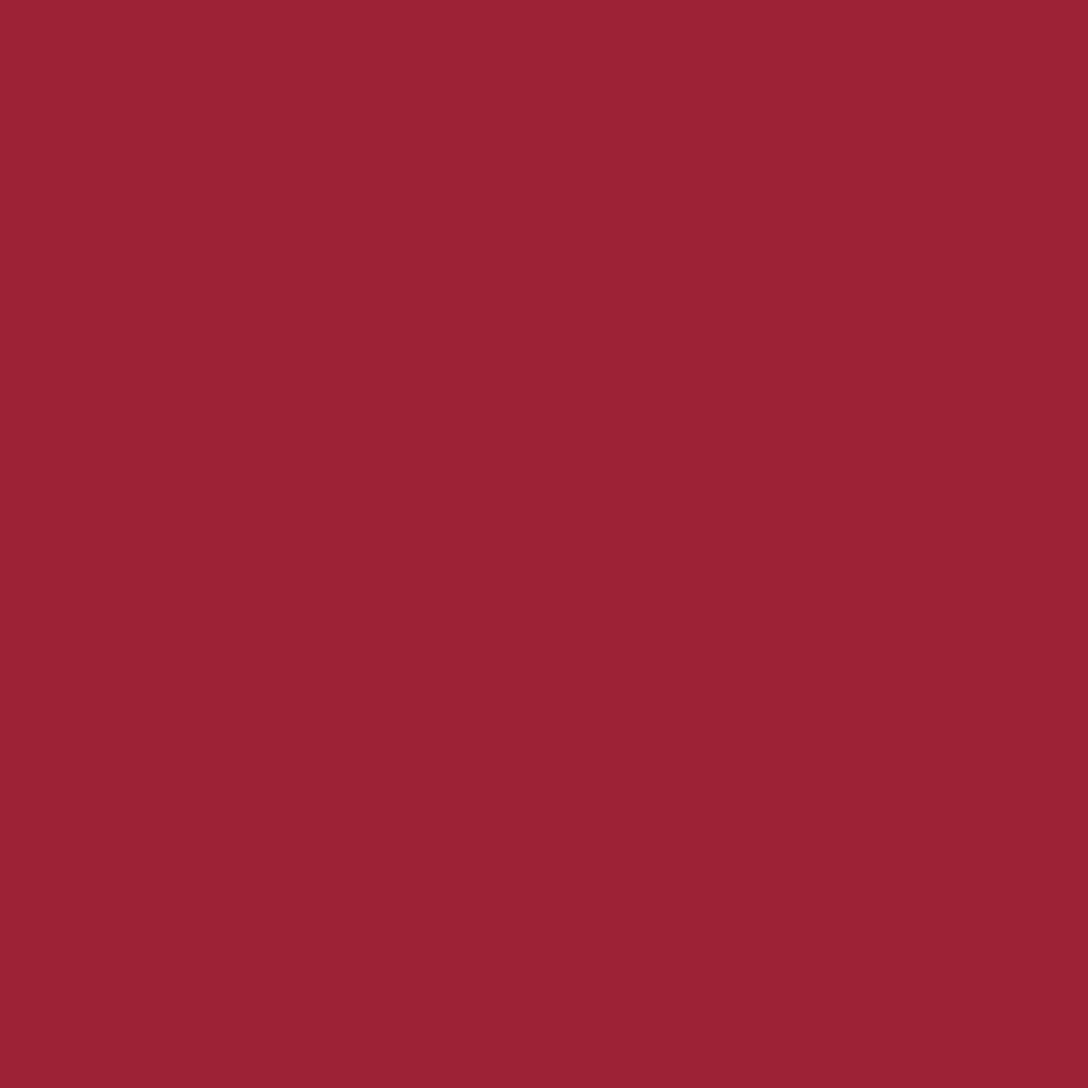 Dip Powder - NU93 Ruby Red Diamond Nail Supplies