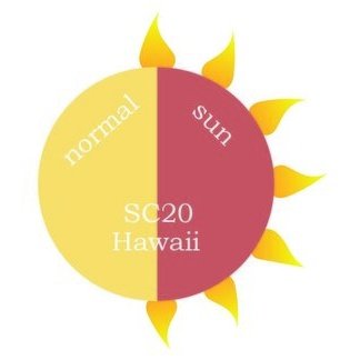 Dip Powder - SC20 Hawaii
