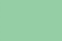Dip Powder - 19 Carolina Blossom Diamond Nail Supplies