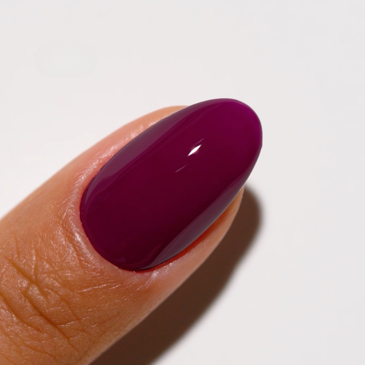 Duo Gel - 731 Plum