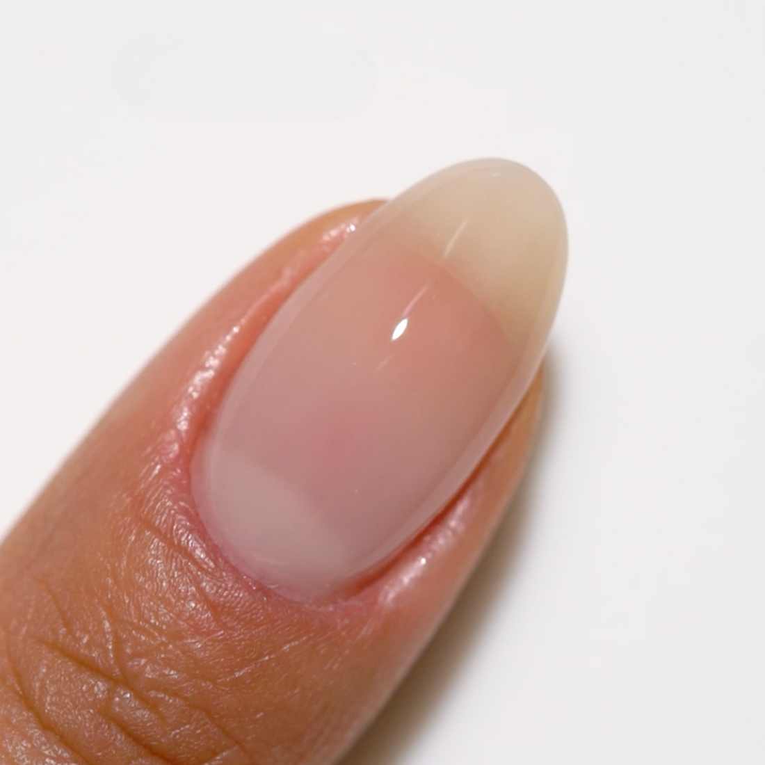 Duo Gel - DC2443 Sheer Sugar