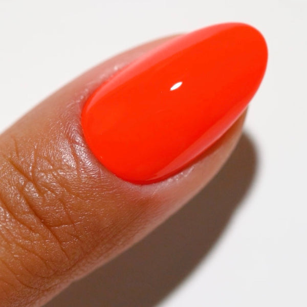 Duo Gel - DC2542 Untamed