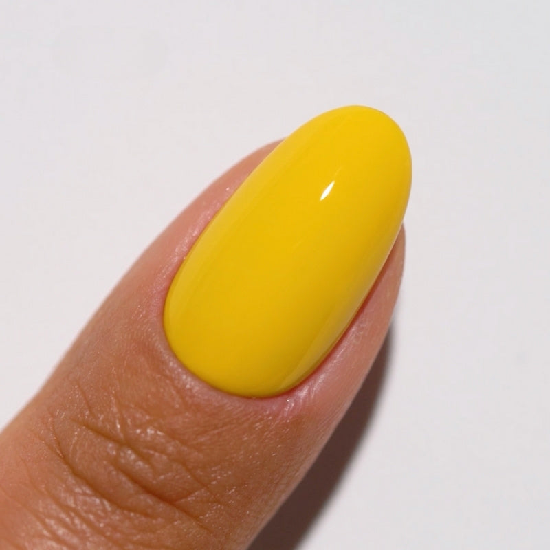 Duo Gel - DV203 Mimosa