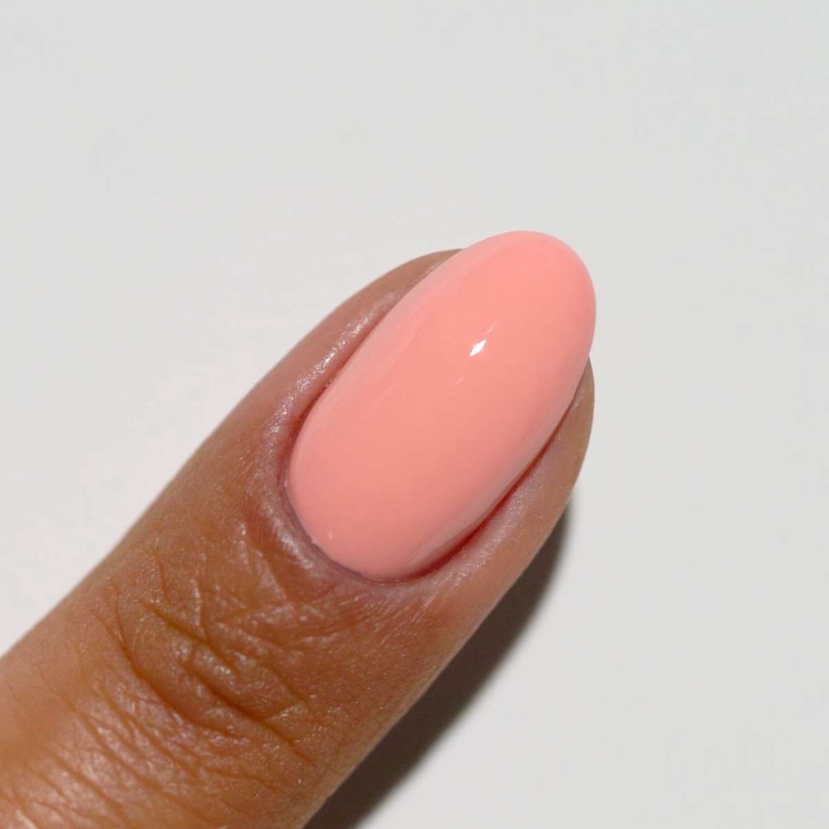 Duo Gel - DV049 Starfish Chai