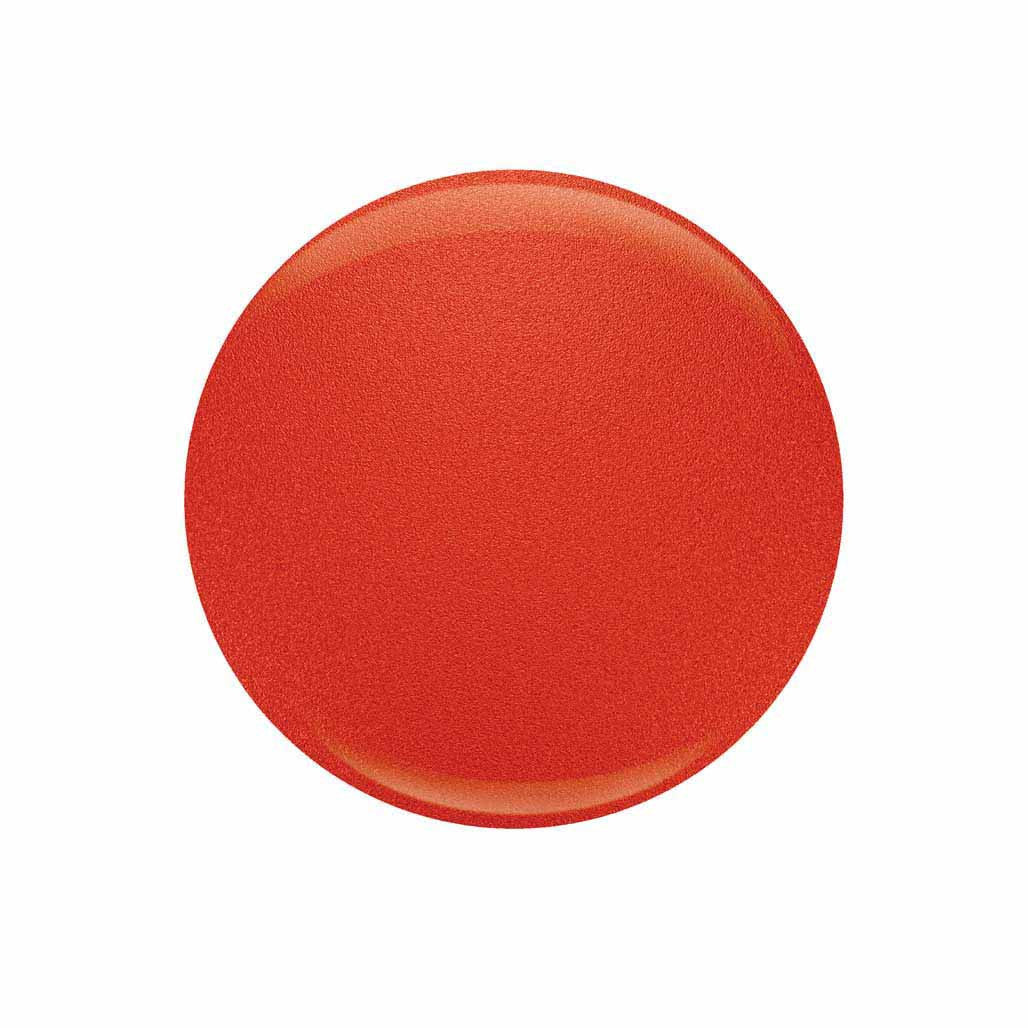 Dip & Buff Powder - 5201686 Bouquet Of Gerbera Daisies Diamond Nail Supplies