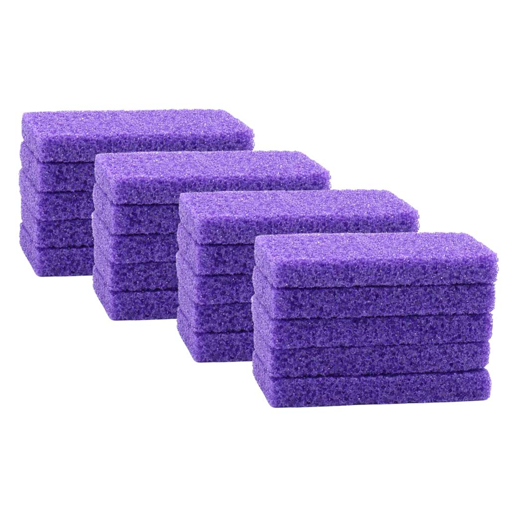 Disposable Pumice Purple Large 300pc (Carton)