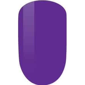 Perfect Match - PMS233 Wild & Free Diamond Nail Supplies