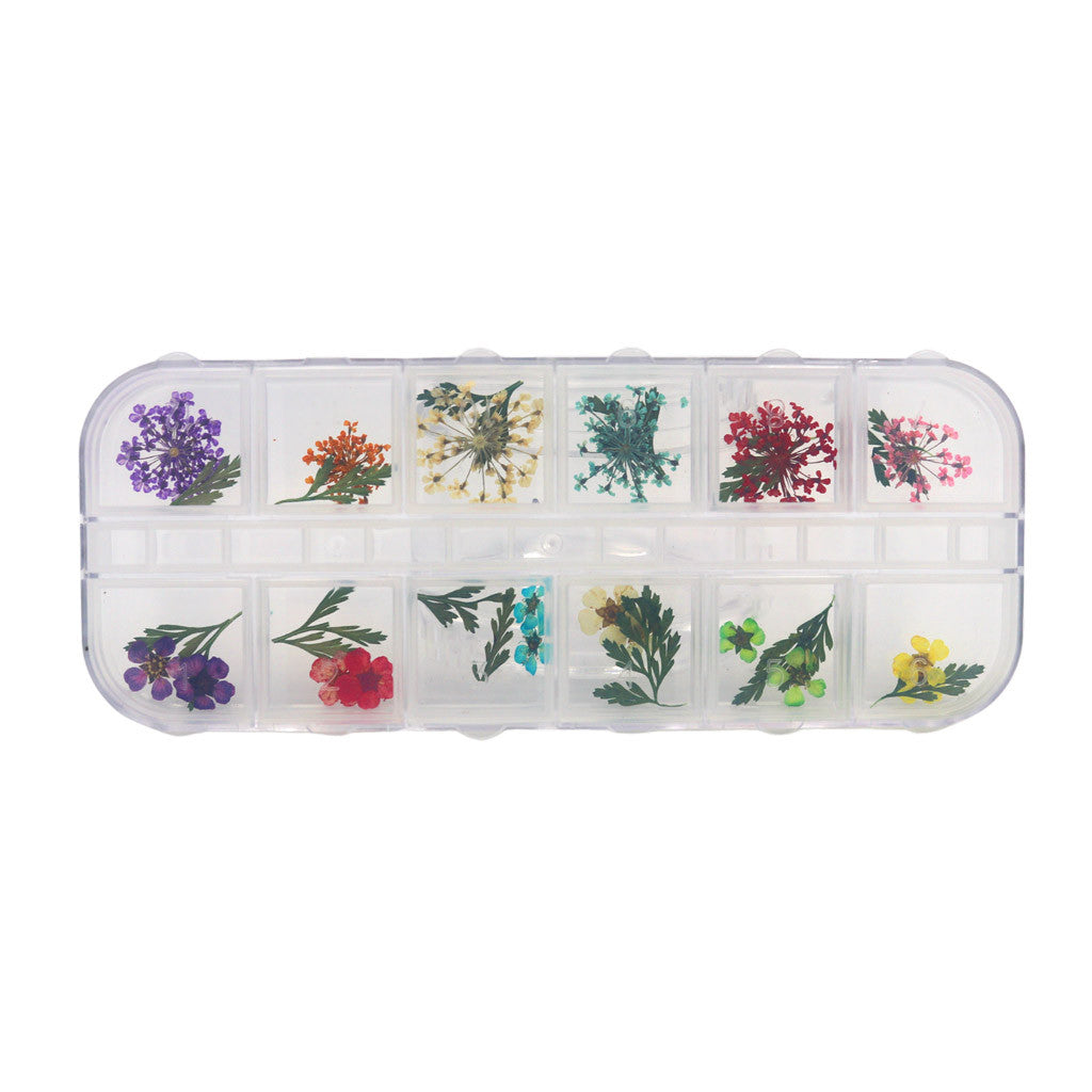 Dried Flowers Set - E Diamond Nail Supplies