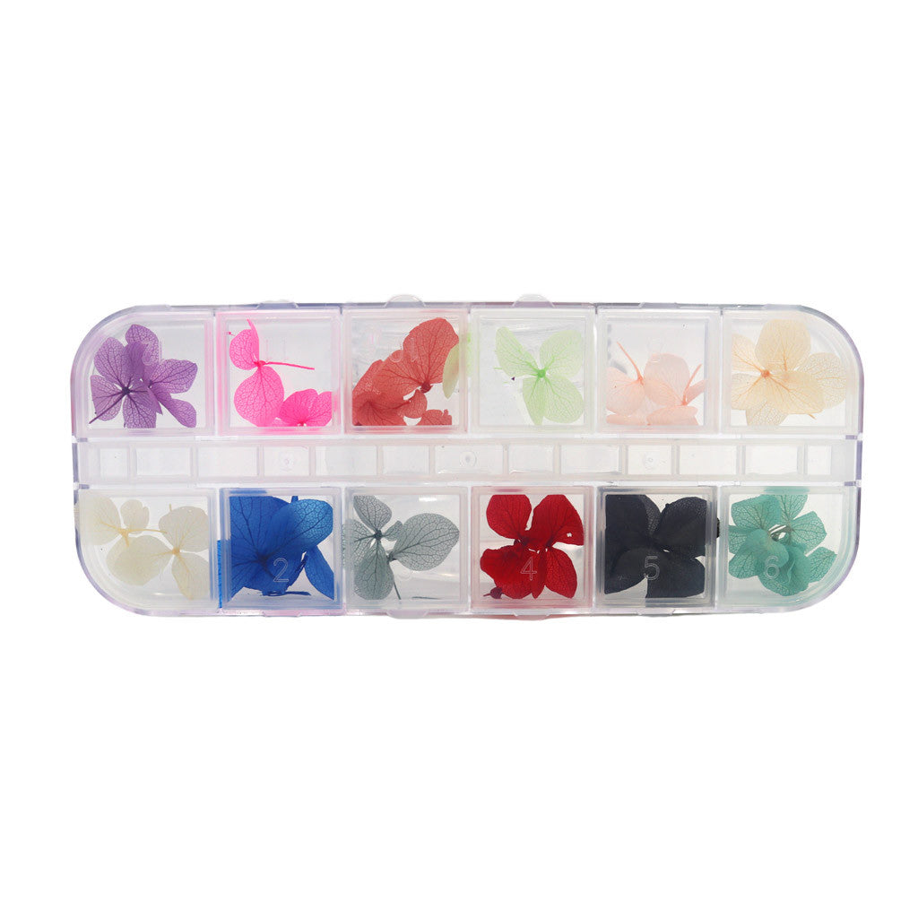 Dried Flowers Set - G Diamond Nail Supplies