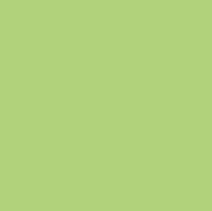 Dip Powder - BM27 Chartreuse Diamond Nail Supplies