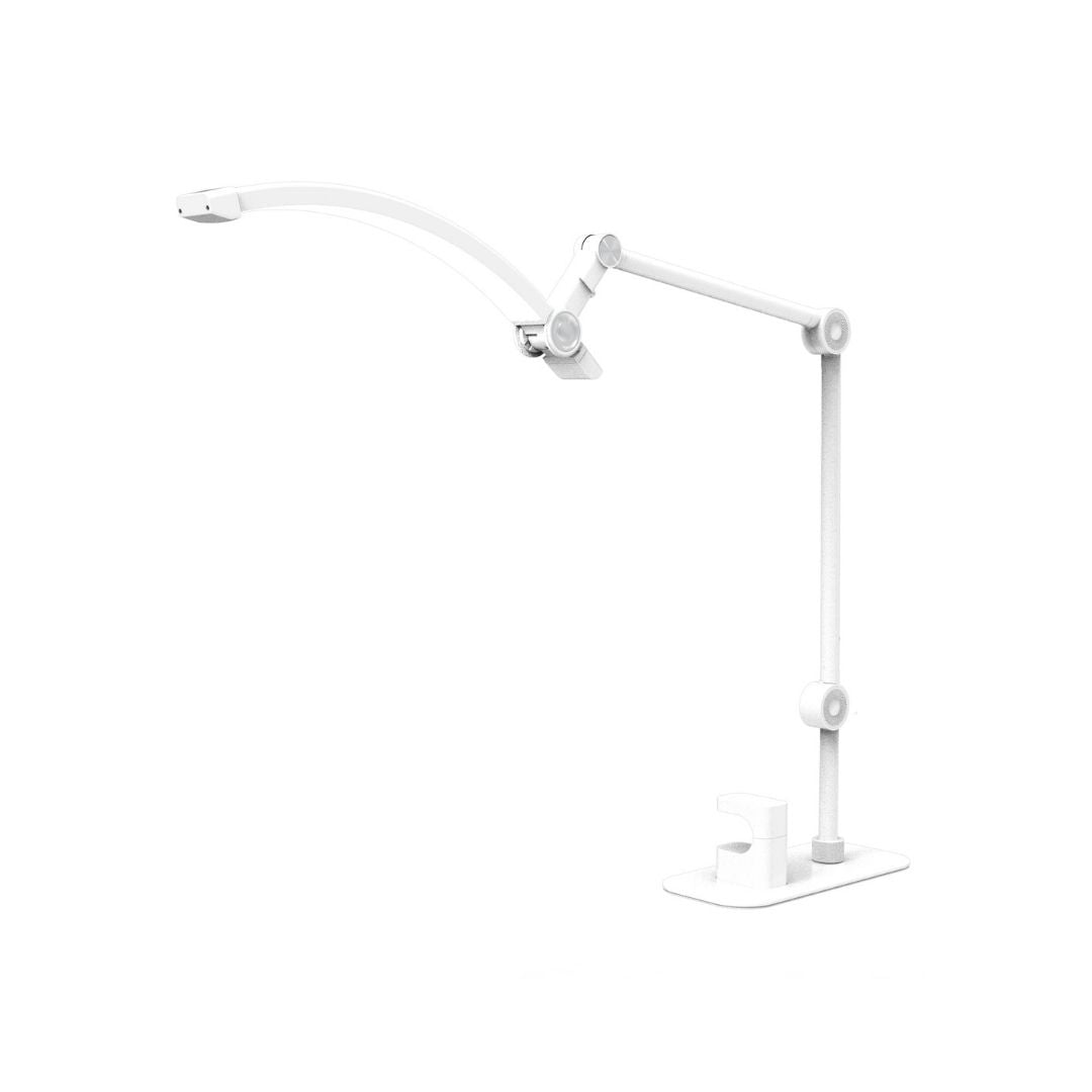 Table Lamp - Beauty White