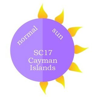 Dip Powder - SC17 Cayman